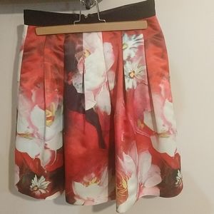 Size 2 Ted Baker ball gown skirt very good conditi